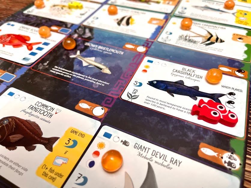 Finspan Upgrade Pack (Wooden Tokens & Squishy Eggs)