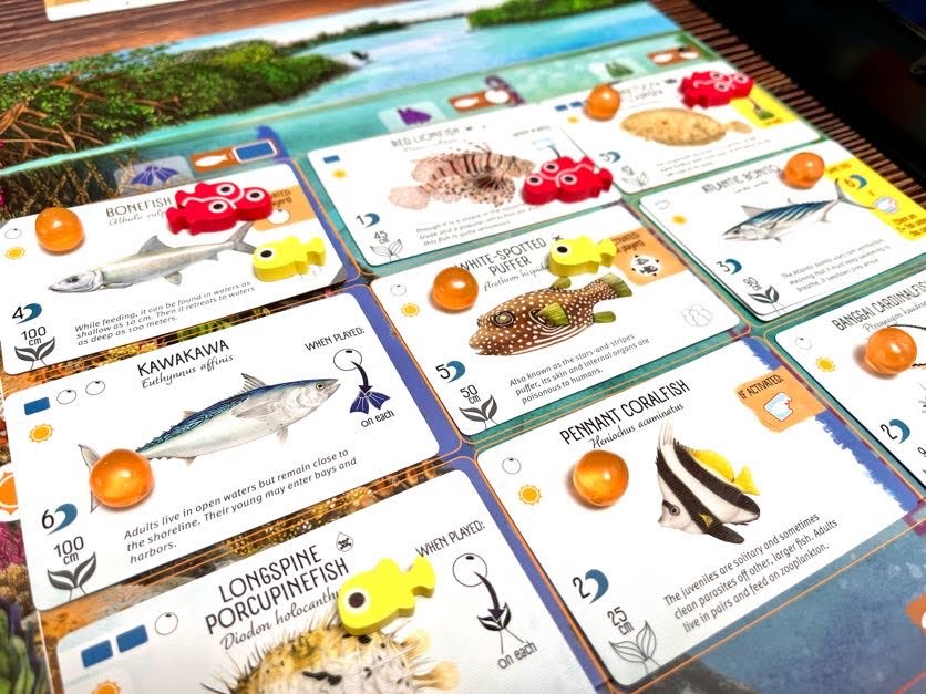 Finspan Upgrade Pack (Wooden Tokens & Squishy Eggs)