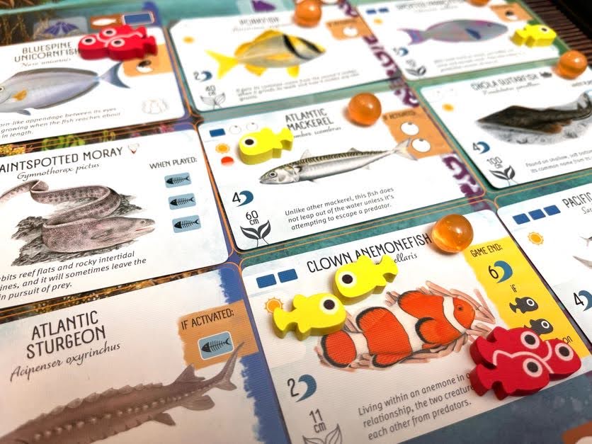 Finspan Upgrade Pack (Wooden Tokens & Squishy Eggs)