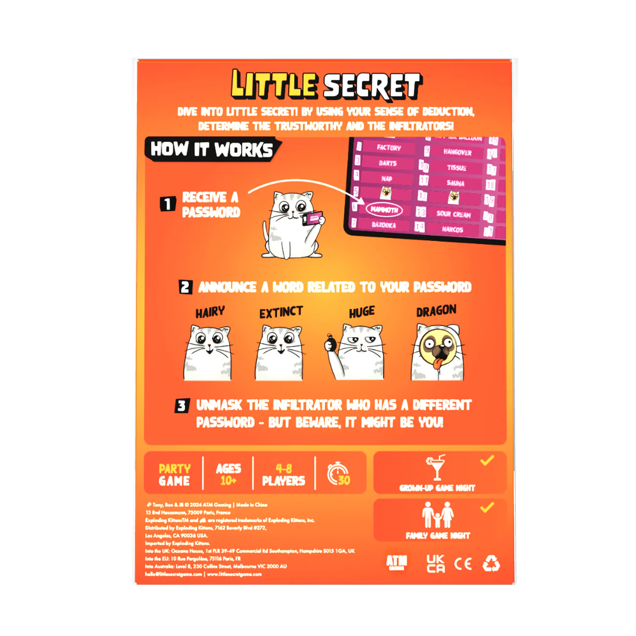 Little Secret