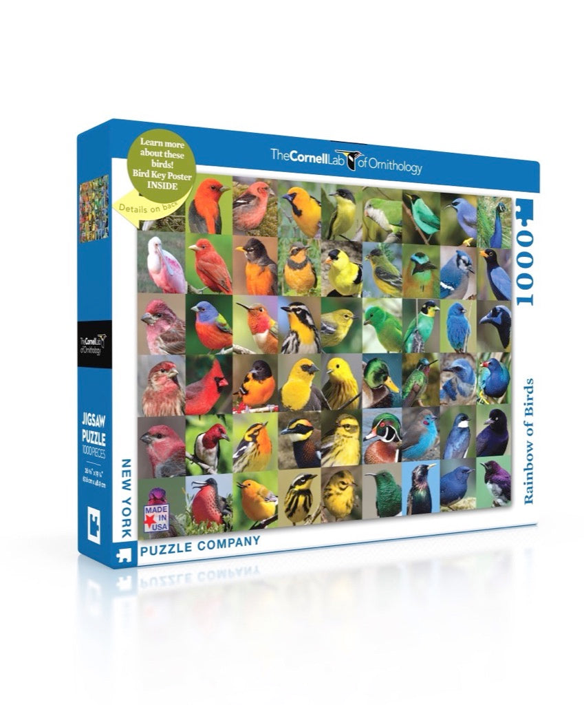 Rainbow of Birds 1000 Piece Jigsaw Puzzle