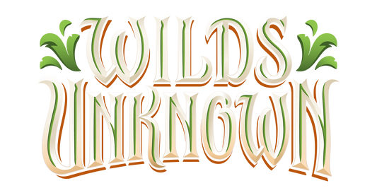 Disney Lorcana: Wilds Unknown Pack Rush, May 8th 2026 in Cary