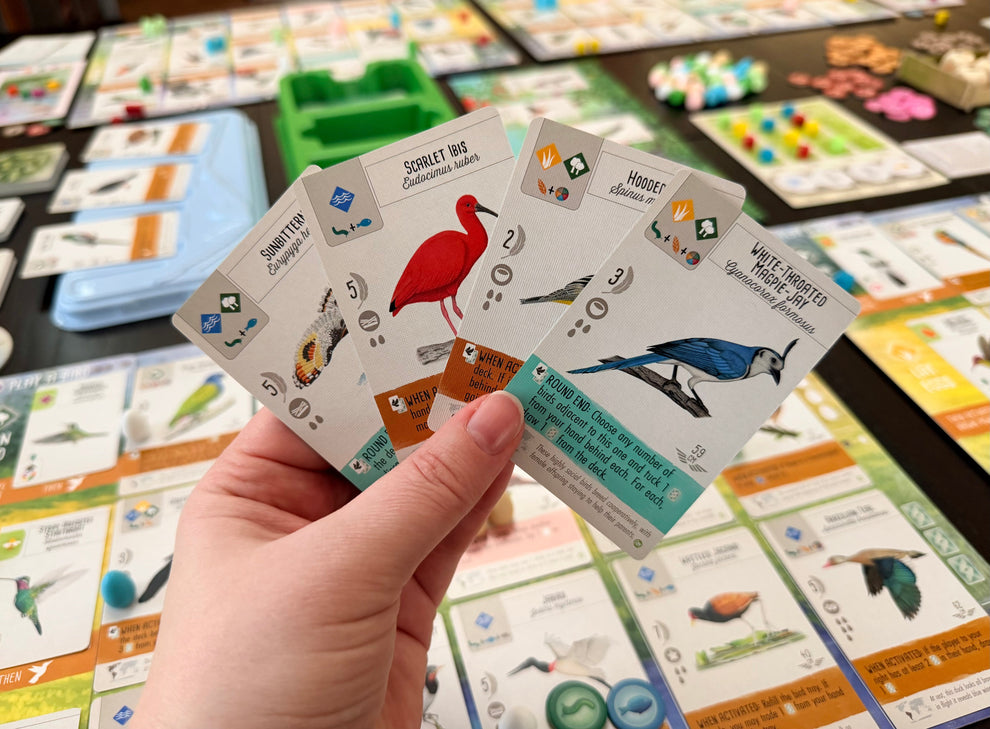 PREORDER NOW: Wingspan Americas Expansion