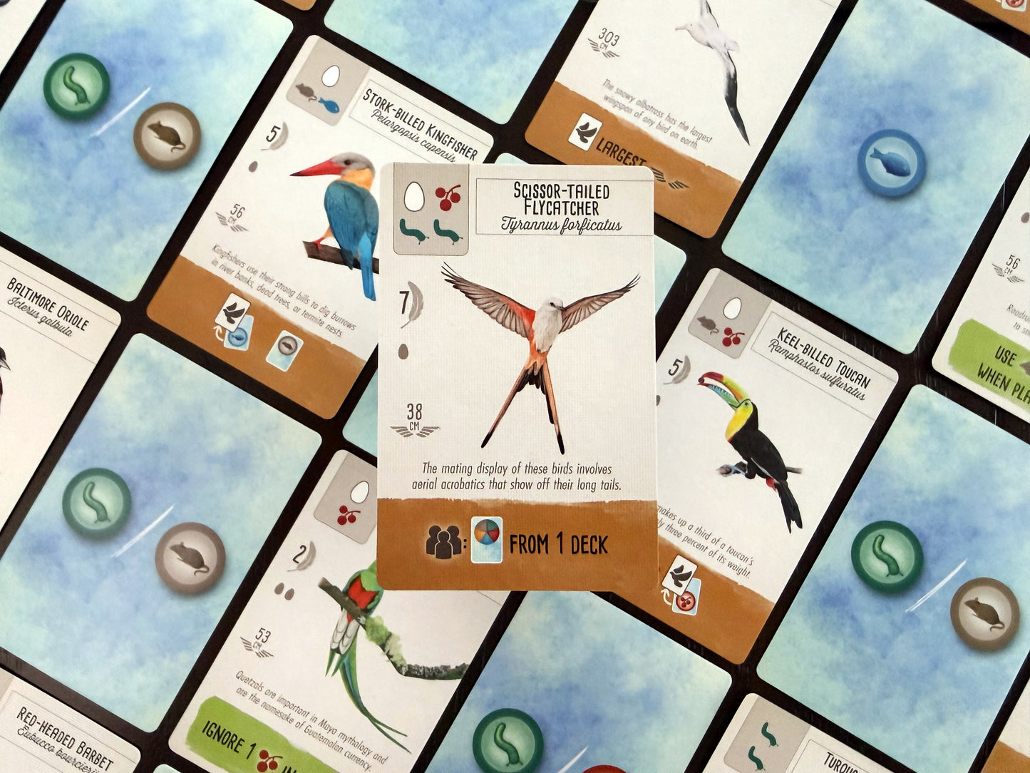 Wingspan Pocket