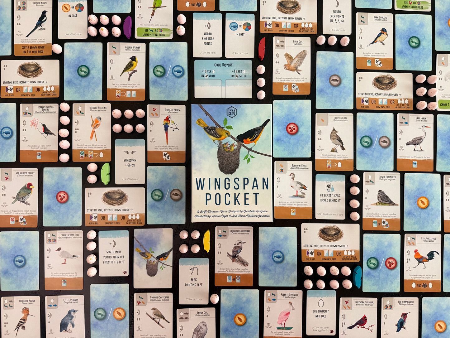 Wingspan Pocket