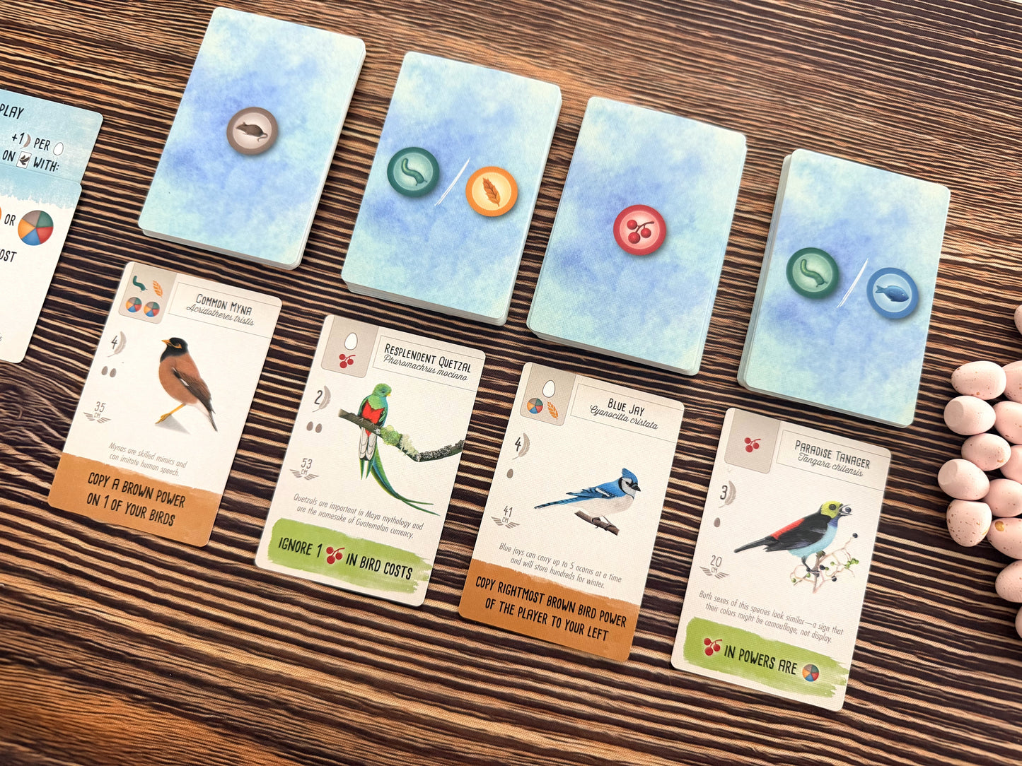 Wingspan Pocket
