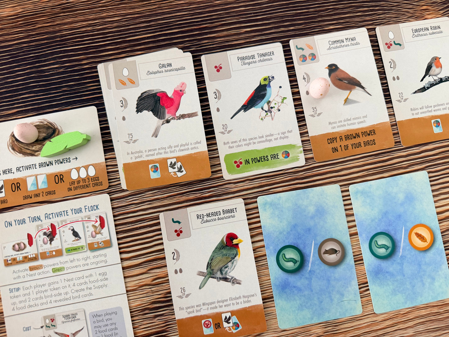 Wingspan Pocket