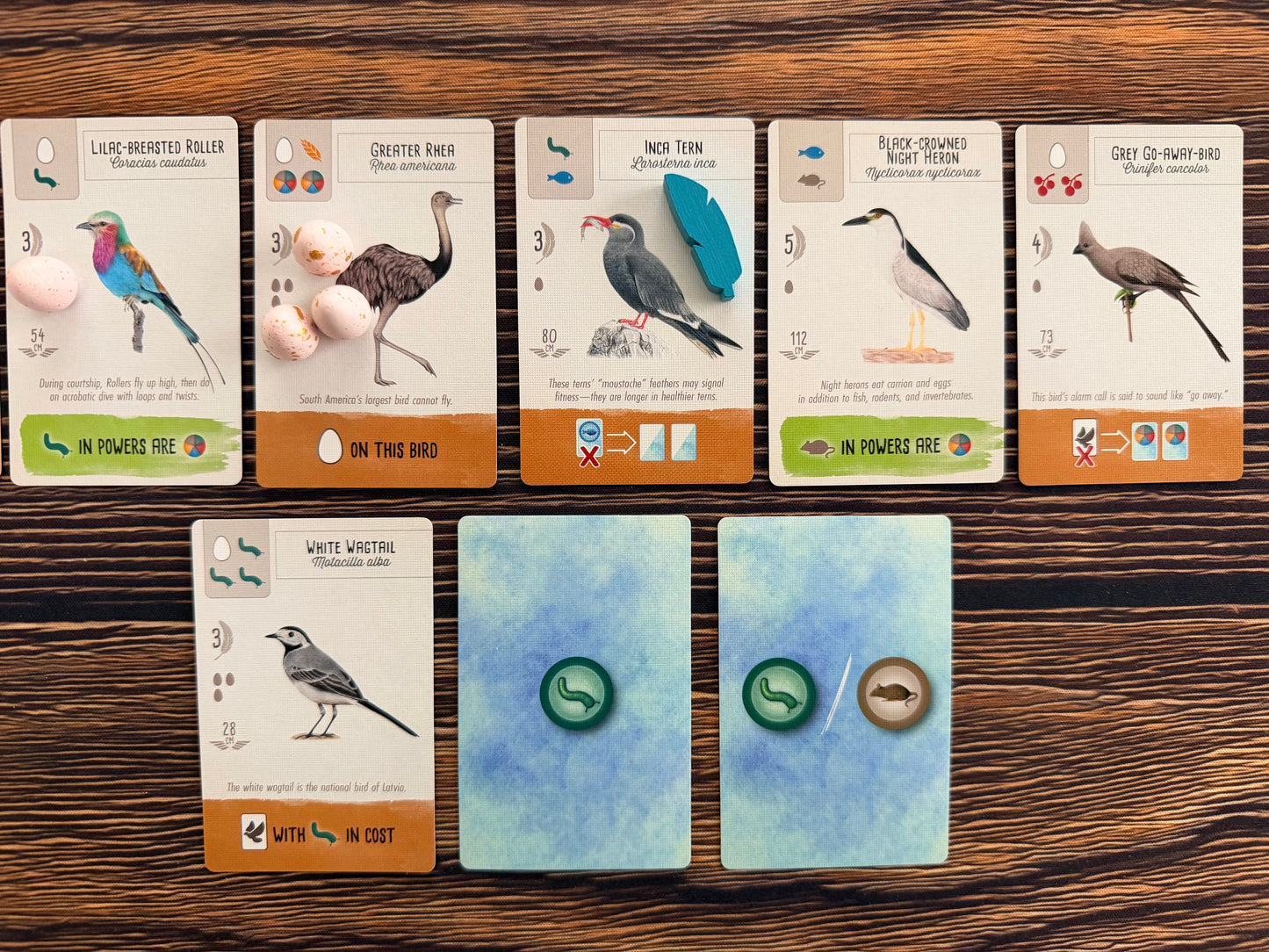 Wingspan Pocket