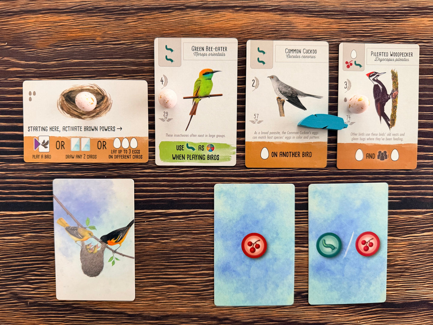 Wingspan Pocket