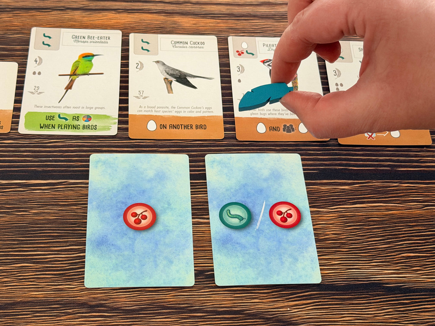 Wingspan Pocket
