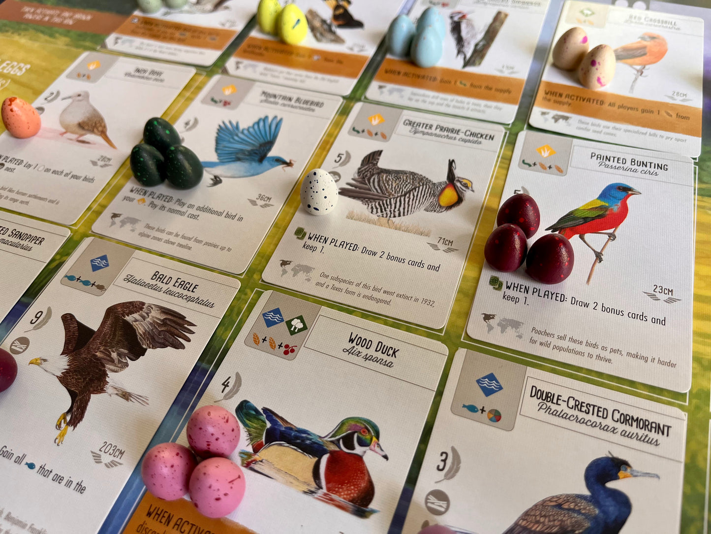 100 Speckled Eggs for Wingspan