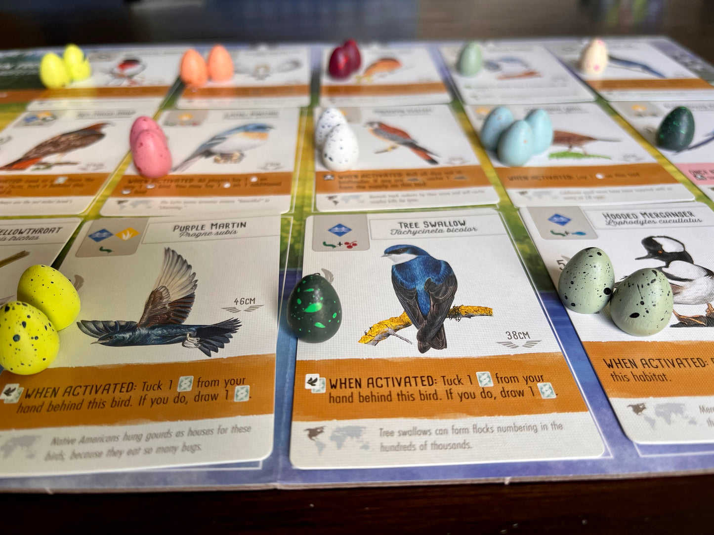 100 Speckled Eggs for Wingspan