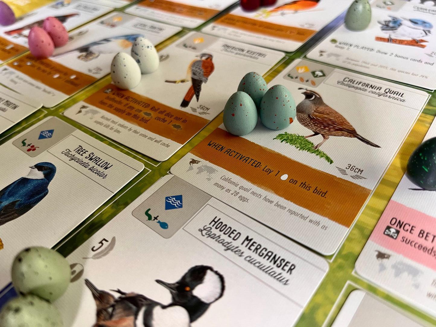 100 Speckled Eggs for Wingspan