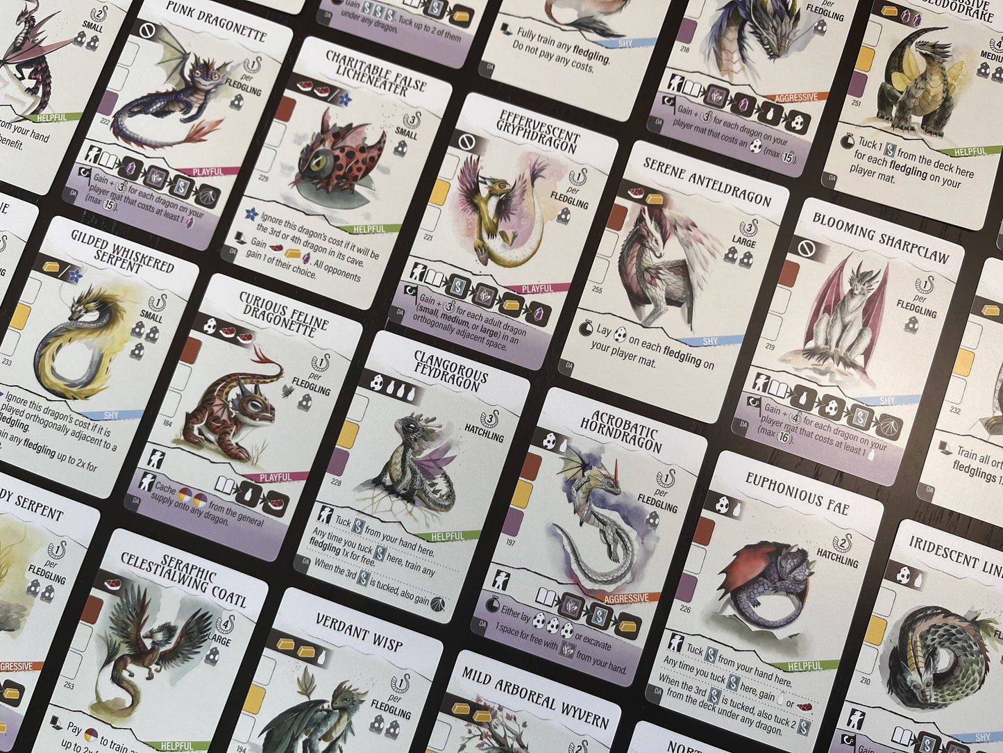 Wyrmspan: Dragon Academy