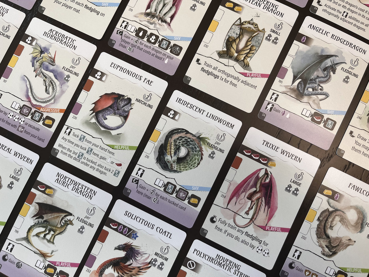 Wyrmspan: Dragon Academy