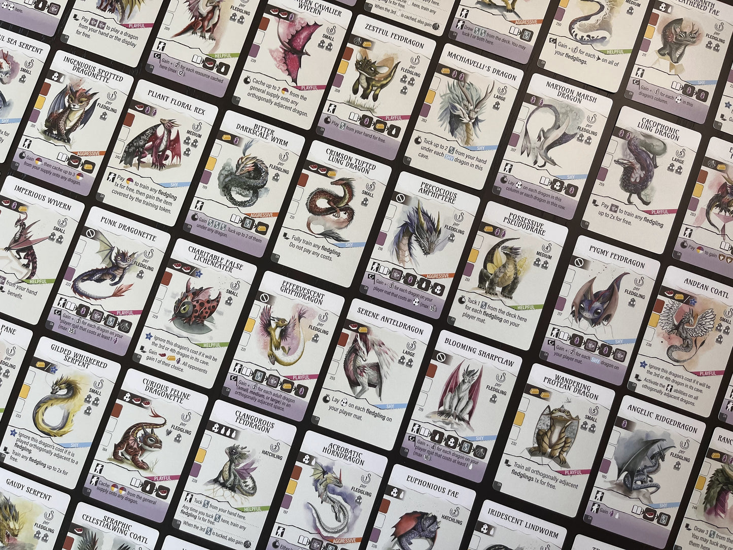 Wyrmspan: Dragon Academy