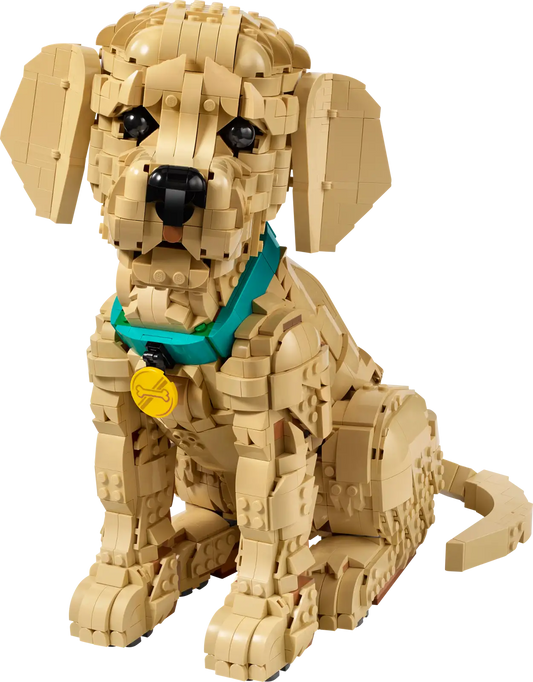 LEGO® Icons Golden Retriever Puppy 11384