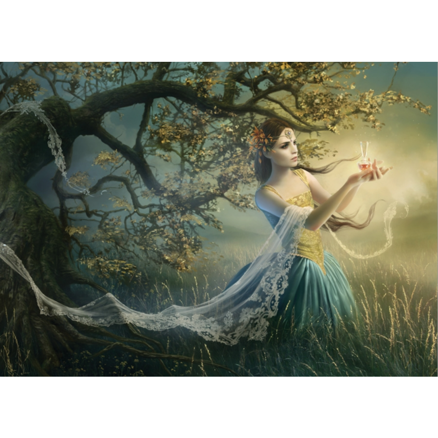 PUZZLE RENTAL: Rapture by Melanie Delon